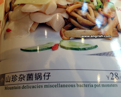 bacteria-pot-monsters.jpg