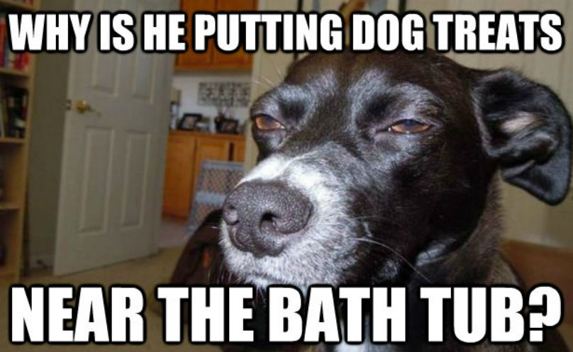 bath-time-meme