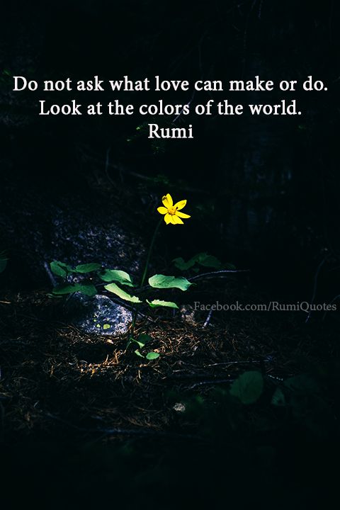 discover-the-top-most-inspiring-rumi-quotes-mystical-rumi-quotes-E075c8317eba292549674c4684ee99e08