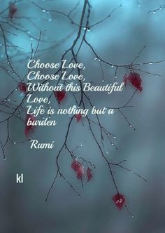 fb4546a93fa9ab59ec4f7e9510249583--rumi-poetry-choose-love.jpg