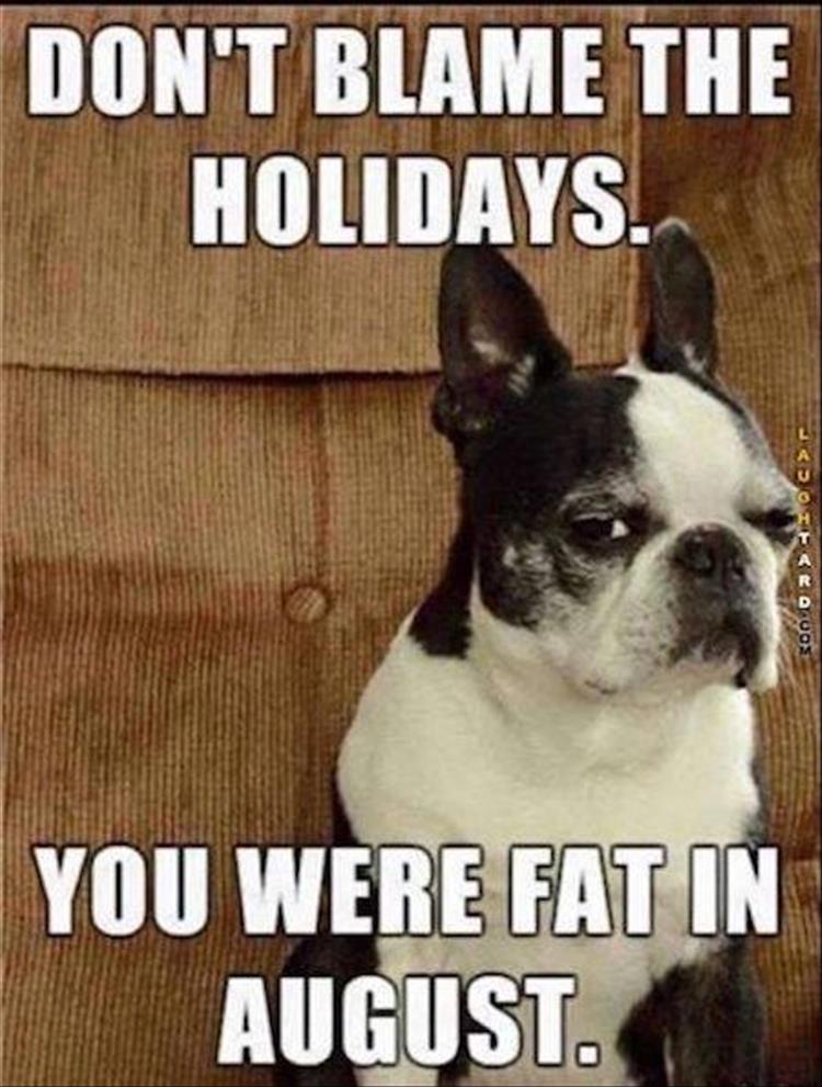 funny-animal-pictures-172 (2).jpg
