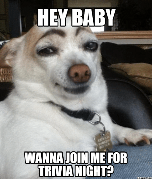 hey-baby-wanna-join-me-for-trivia-nightp-memes-com-17642903.png