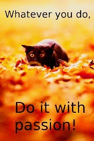 images 80