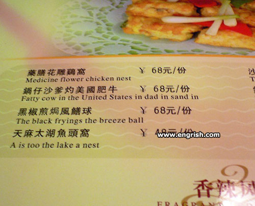 medicine-flower-chicken-nest.jpg