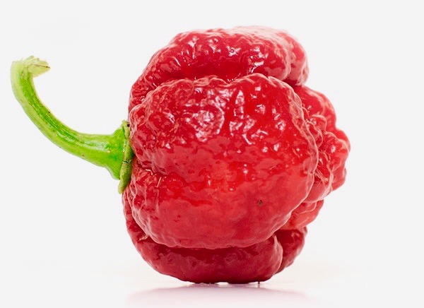 Moruga-Scorpion-Pepper 2.jpg