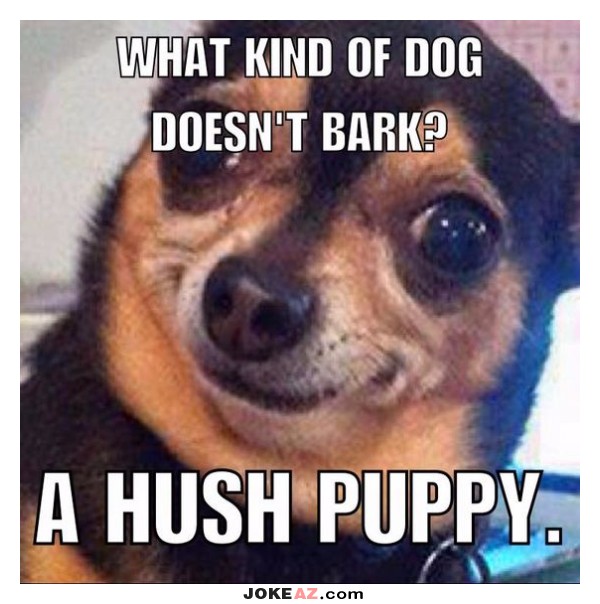 what-kind-of-dog-doesnt-bark-joke.jpg