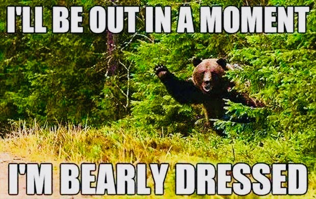 why-bears-are-like-women 2
