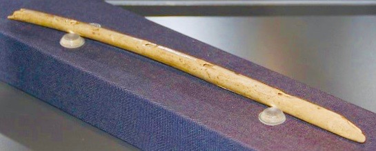 Hohle-Fels-Flute