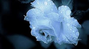images1