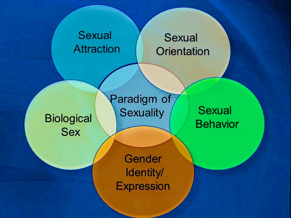Paradigm-of-Sexuality 2