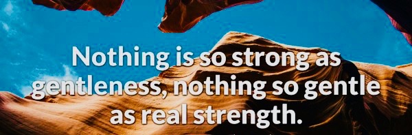 saintfrancisdesales1 2