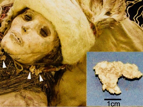 Ancient-Chinese-Cheese