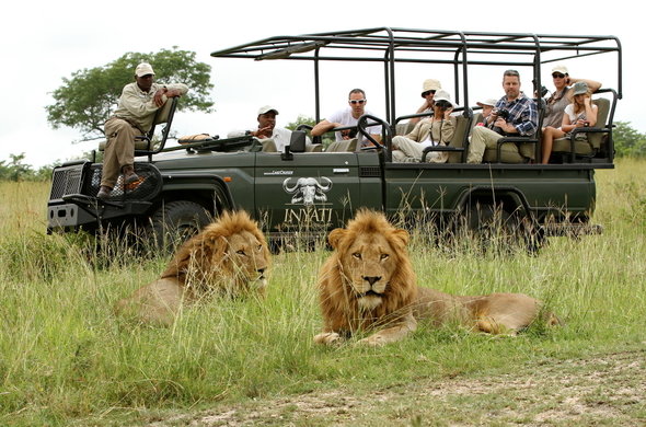inyati-safari-game-drive-590x390