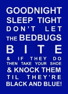 d03e2cdc353e50bf08e2f205d9ce5ac6--bedtime-quotes-bed-bugs