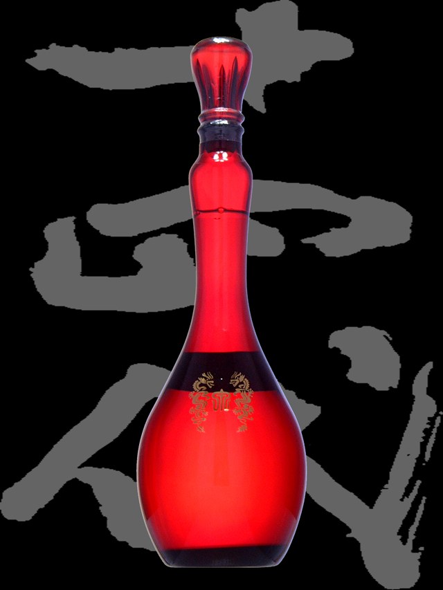 06-juyondaijunmaidaiginjoryusen