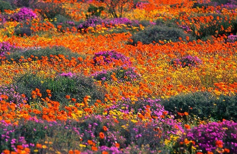 079154adec0cef5ae33f5cc6c61d5d48