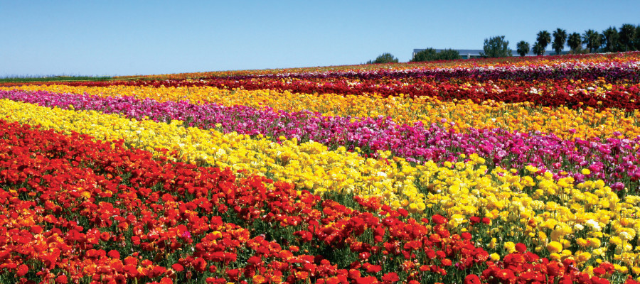 g0h3tvsltabfhs0cdg4q