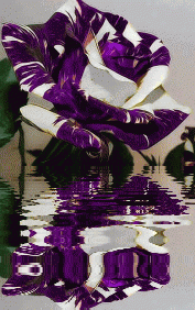 50dface2eee4adf02024071dd7d3b879