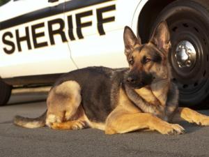 02b8e433a93a4d858c3ee4b6cf7d164c