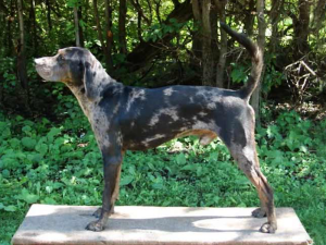 49fac1850df64bb19760a6f42bb52ba4