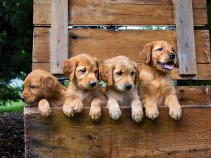 a08ff09eefd7450294464ff1eb55fcb8