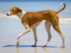 b8df315a4b964dbb9f918aaa0b165b81