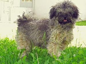 bbeafd7b8f0944fea0b490679e3ad32b