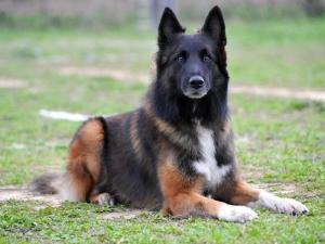 bc8a0dfae1c24c4592ce3ab3262f4e35