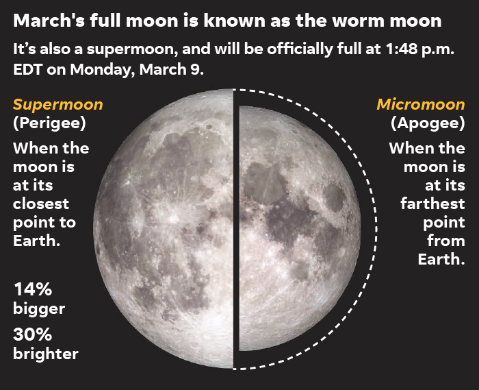 677e344a-a72d-4299-8367-abeb54dea517-030520-worm-moon-Supermoon_Online